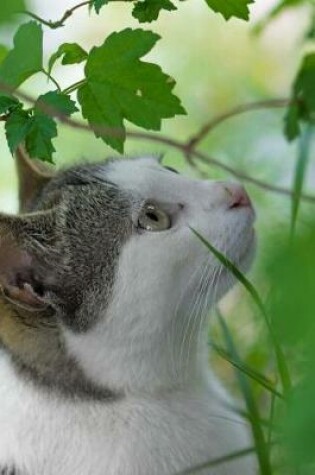 Cover of Gray and White Green Eyed Cat in the Leaves