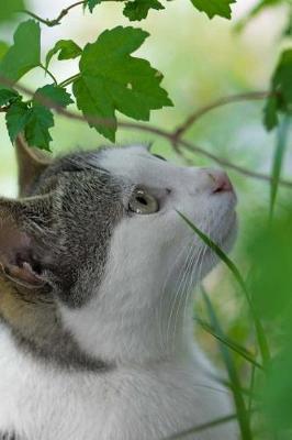 Book cover for Gray and White Green Eyed Cat in the Leaves