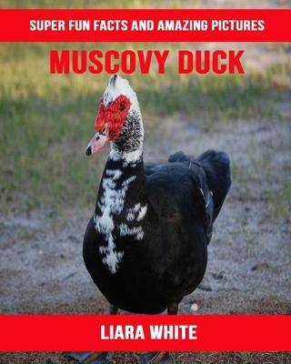 Book cover for Muscovy Duck