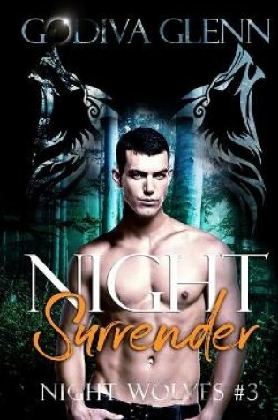 Cover of Night Surrender