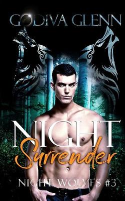 Cover of Night Surrender
