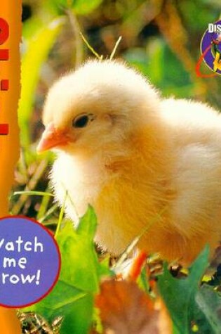 Cover of Watch ME Grow: Chick