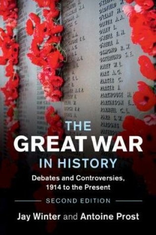 Cover of The Great War in History