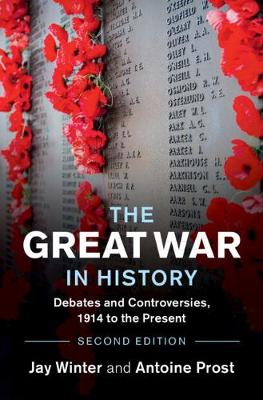 Book cover for The Great War in History