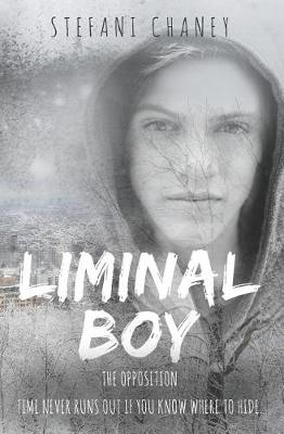 Book cover for Liminal Boy