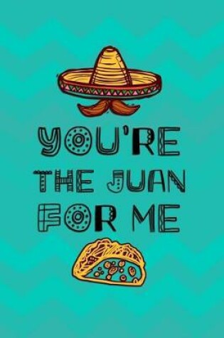 Cover of You're The Juan For Me