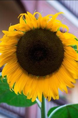 Book cover for Happy and Bright Yellow Sunflower Portrait Journal