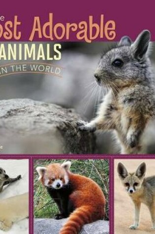 Cover of Most Adorable Animals