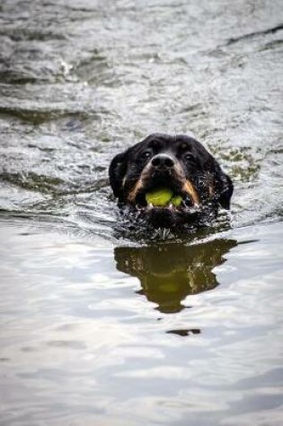 Cover of Rottweiler Caught the Ball, Swimming Back Journal