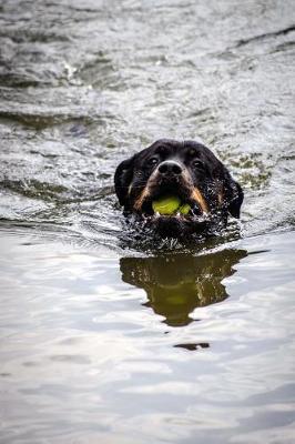 Book cover for Rottweiler Caught the Ball, Swimming Back Journal