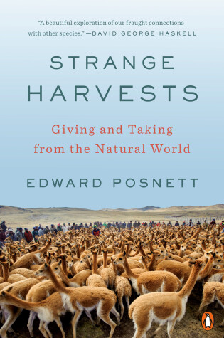 Cover of Strange Harvests