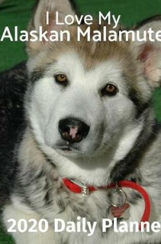 Cover of I Love My Alaskan Malamute