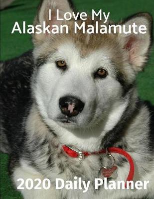 Book cover for I Love My Alaskan Malamute