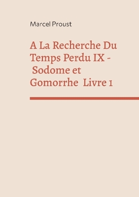 Book cover for A La Recherche Du Temps Perdu IX