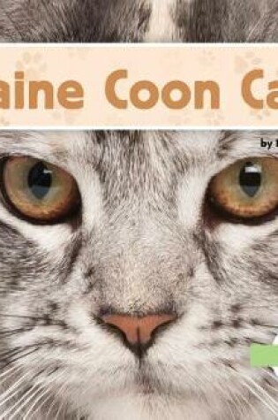 Cover of Maine Coon Cats