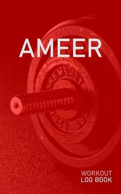 Book cover for Ameer