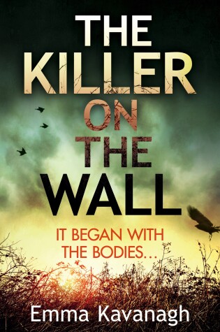 Cover of The Killer on the Wall