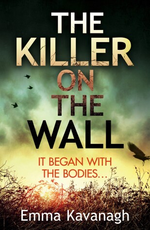 Book cover for The Killer on the Wall