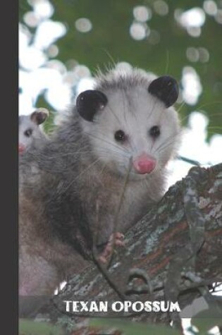 Cover of texan opossum