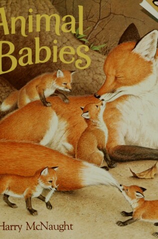 Cover of Animals' Babies