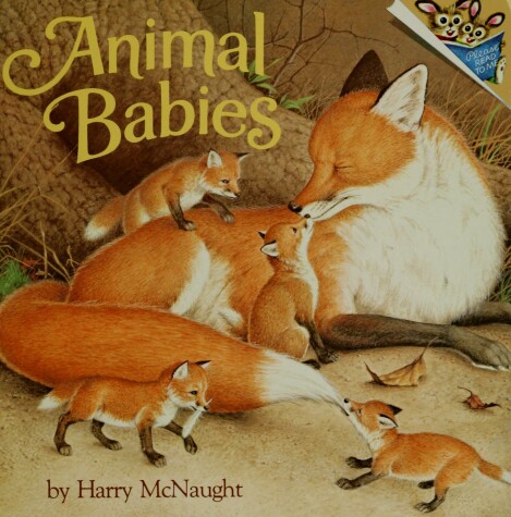 Book cover for Animals' Babies