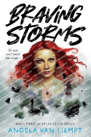 Cover of Braving Storms