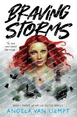 Book cover for Braving Storms