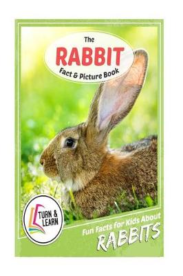 Book cover for The Rabbit Fact and Picture Book