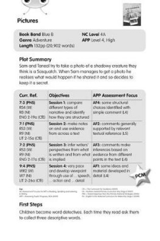Cover of BC Blue (KS2) B/4A Pictures Guided Reading Card