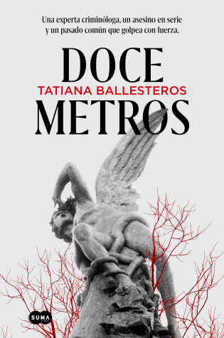Cover of Doce metros / Twelve Meters