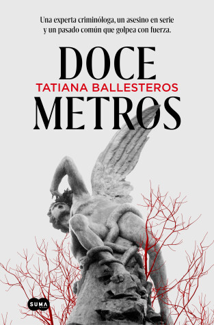 Book cover for Doce metros / Twelve Meters