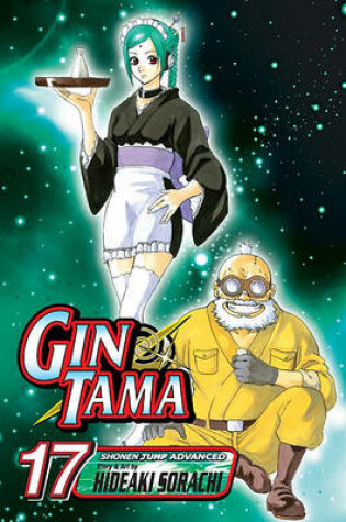 Cover of Gin Tama, Volume 17