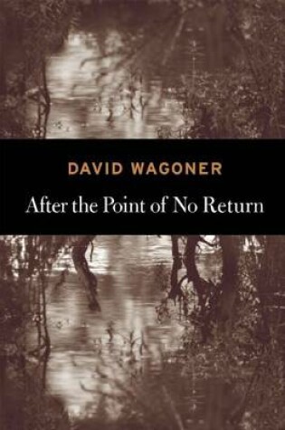 Cover of After the Point of No Return