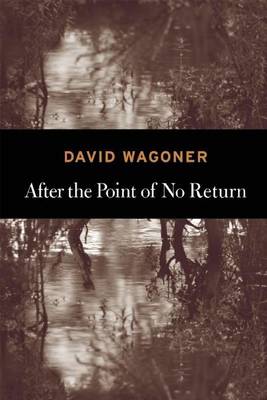 Book cover for After the Point of No Return