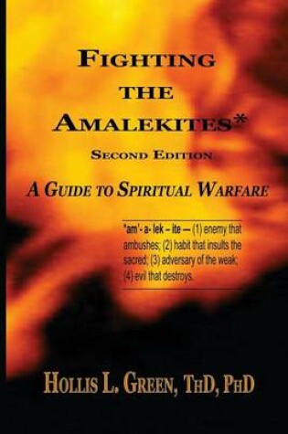 Cover of Fighting the Amalekites