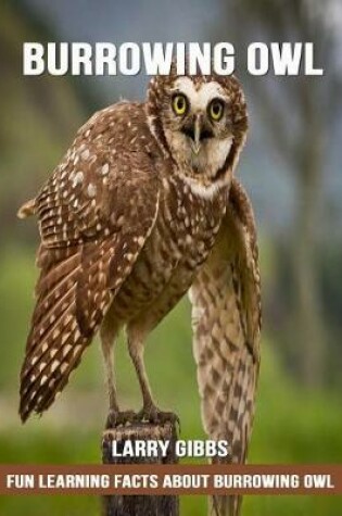 Cover of Fun Learning Facts about Burrowing Owl