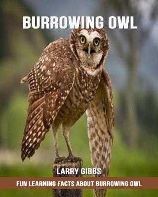 Book cover for Fun Learning Facts about Burrowing Owl