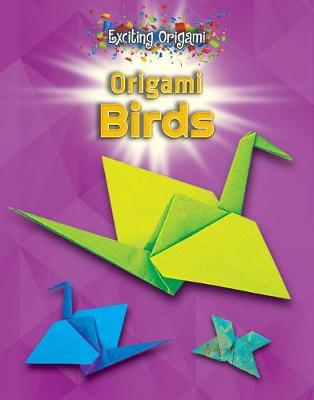 Book cover for Origami Birds