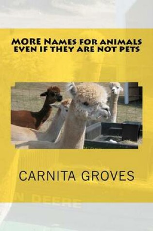 Cover of MORE Names for animals even if they are not pets