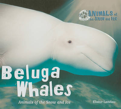 Book cover for Beluga Whales