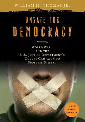 Book cover for Unsafe for Democracy