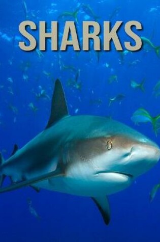 Cover of Sharks