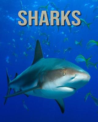 Book cover for Sharks