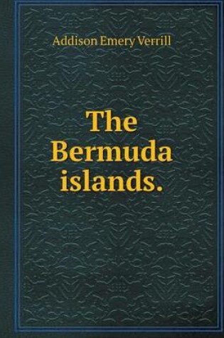 Cover of The Bermuda islands