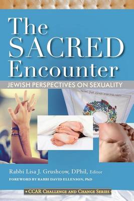 Book cover for The Sacred Encounter