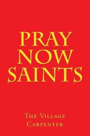 Cover of Pray Now Saints