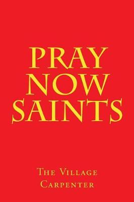 Book cover for Pray Now Saints