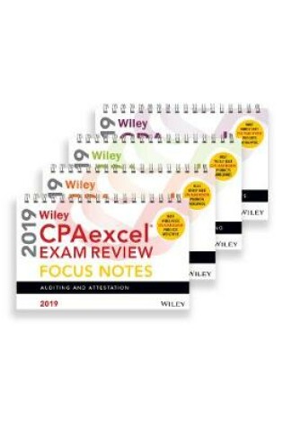 Cover of Wiley CPAexcel Exam Review 2019 Focus Notes