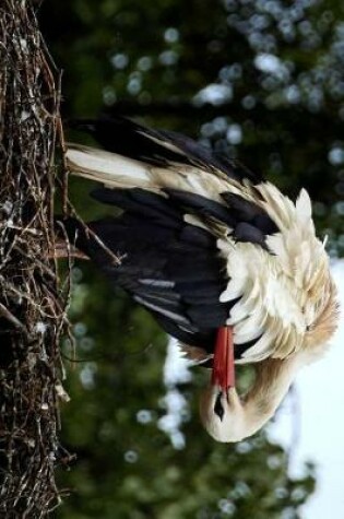 Cover of A Stork Preening Her Feathers in the Nest Bird Journal