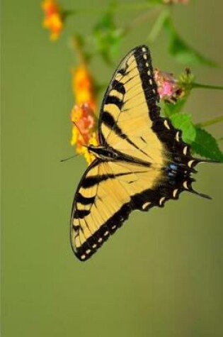 Cover of Yellow Butterfly